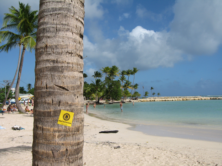 StickEns_081230_Pika_Caraïbes