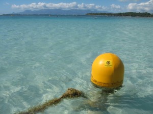 StickEns_090102_Pika_Caraïbes