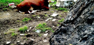 Ens’Batuc dans les Alpes